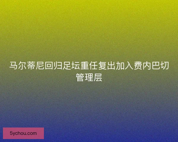 马尔蒂尼回归足坛重任复出加入费内巴切管理层